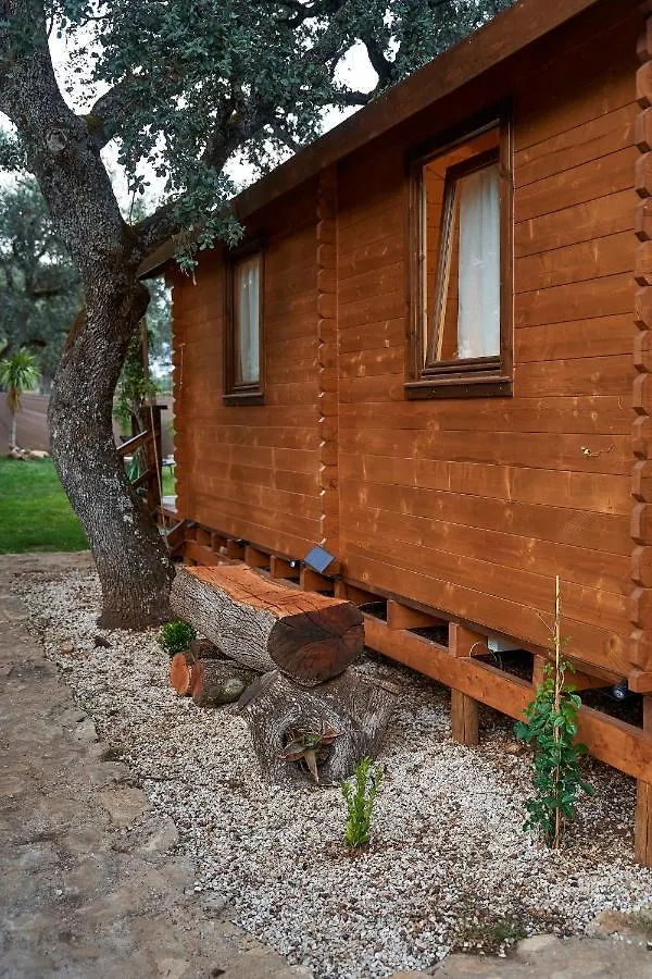 Holiday home Cabana Rural El Arbol Near Setenil - Ronda Con Piscina Spain