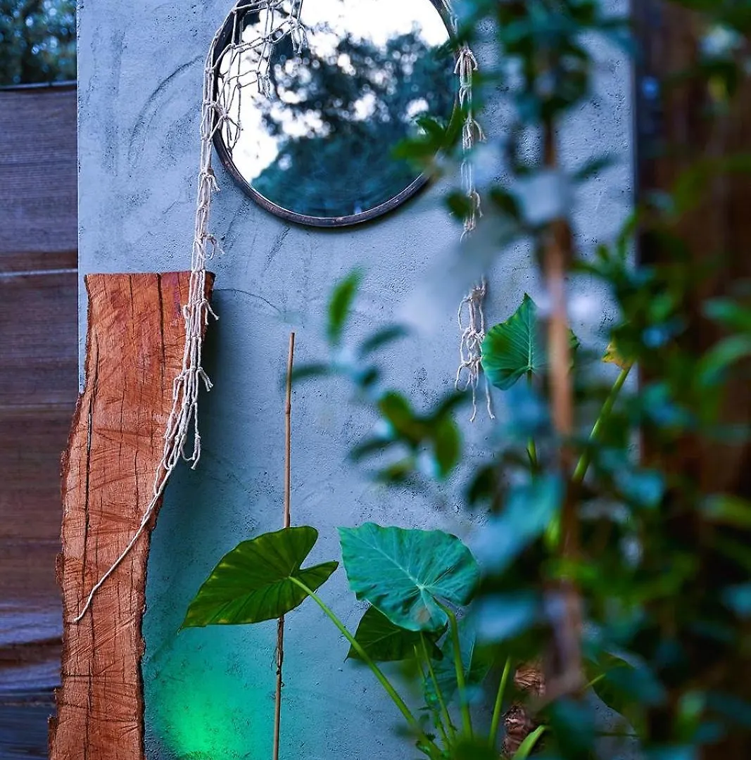Holiday home Cabana Rural El Arbol Near Setenil - Ronda Con Piscina Spain